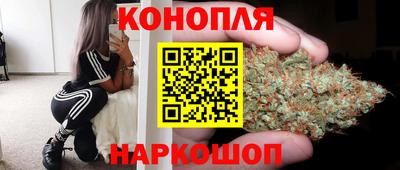 прущие крисы Будённовск