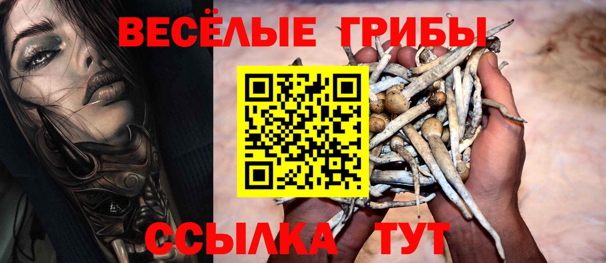 Галлюциногенные грибы GOLDEN TEACHER Тамбов