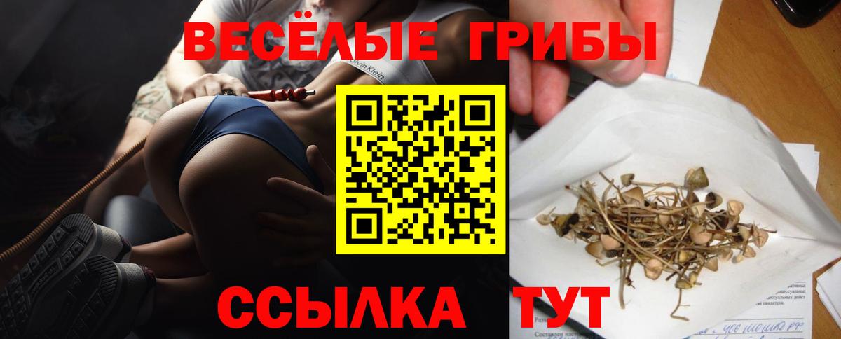 Тамбов  что такое наркотик  Вход с VPN  Псилоцибиновые грибы GOLDEN TEACHER 